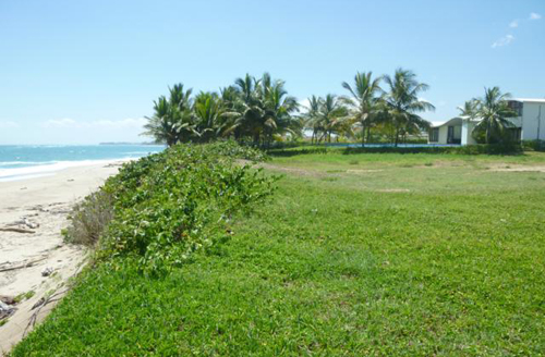 #3 Beachfront Property Cabarete Kitebeach