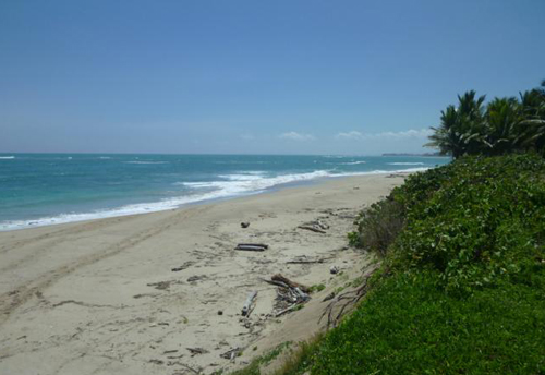 #4 Beachfront Property Cabarete Kitebeach