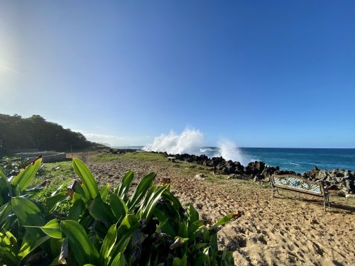 #16 Amazing Oceanfront Duplex Penthouse