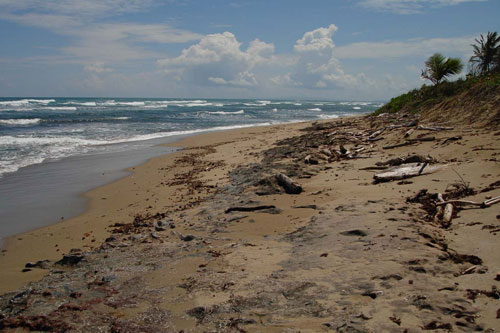 #12 Prime beachfront land for sale in Cabarete