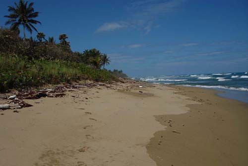 #3 Prime beachfront land for sale in Cabarete