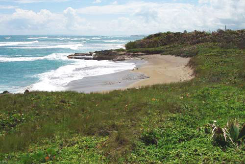 #6 Prime beachfront land for sale in Cabarete