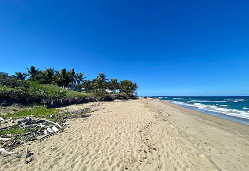 #4 Beachfront Property Kite Beach Cabarete