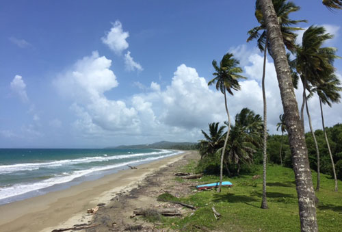 #9 Beach front land for sale near Cabarete