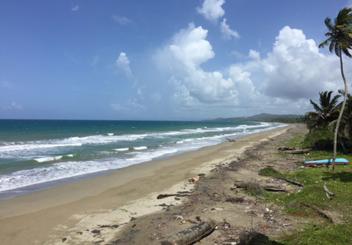 #10 Beach front land for sale near Cabarete