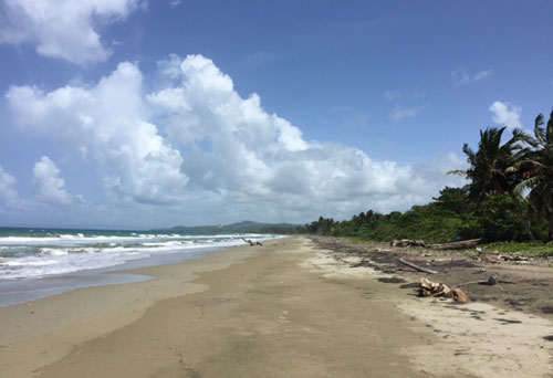 #2 Beach front land for sale near Cabarete