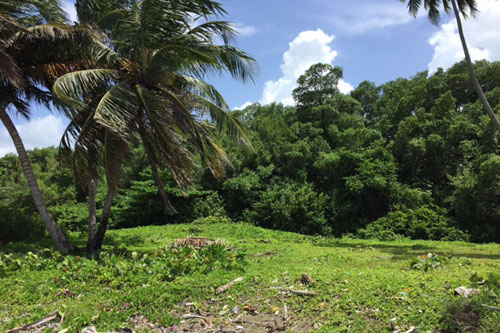 #3 Beach front land for sale near Cabarete