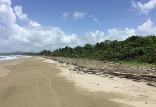 #4 Beach front land for sale near Cabarete