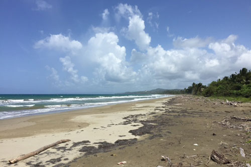 #6 Beach front land for sale near Cabarete