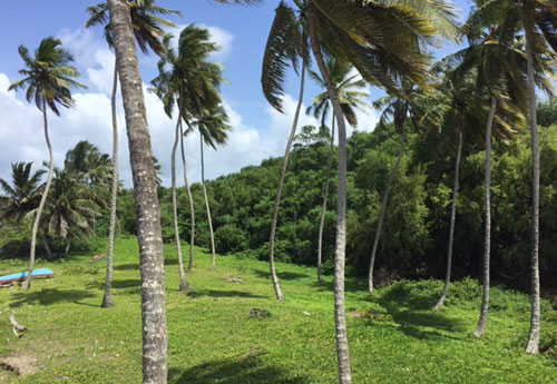 #7 Beach front land for sale near Cabarete