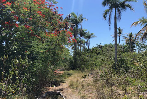 #2 Commercial lot on main highway, close to downtown Sosua
