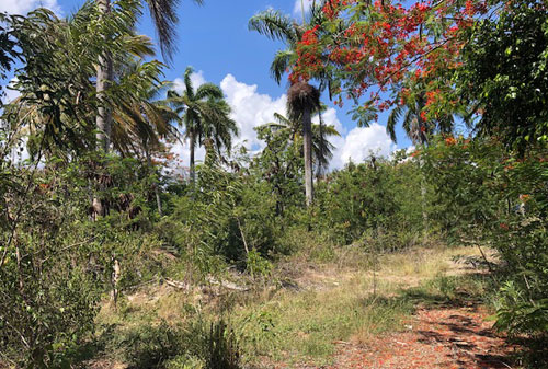 #3 Commercial lot on main highway, close to downtown Sosua