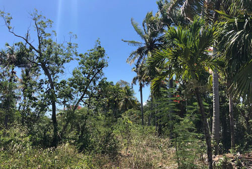 #5 Commercial lot on main highway, close to downtown Sosua