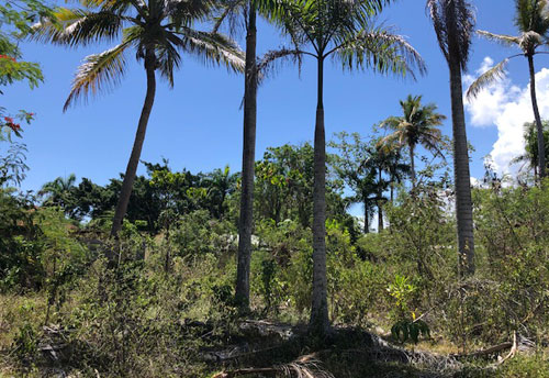 #6 Commercial lot on main highway, close to downtown Sosua