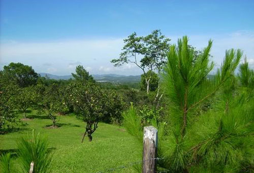 #2 Charming Jarabacoa villa with a large lot and incredible views