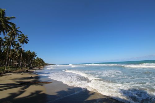 #2 Prime Beachfront Land near Cabarete