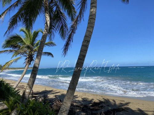 #2 Prime Beachfront Land at Kite Beach Cabarete