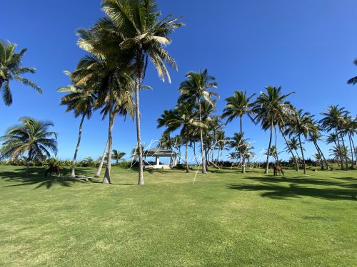 #4 Prime Beachfront Land at Kite Beach Cabarete