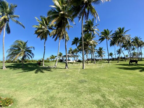 #5 Prime Beachfront Land at Kite Beach Cabarete