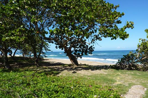 #9 Magnificent beachfront land with more than 230 meters semi-private beach in residential community 