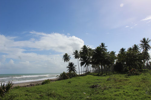 #9 Stunning Beachfront Land With Wide Frontage
