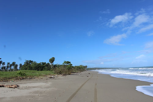 #4 Stunning Beachfront Land With Wide Frontage