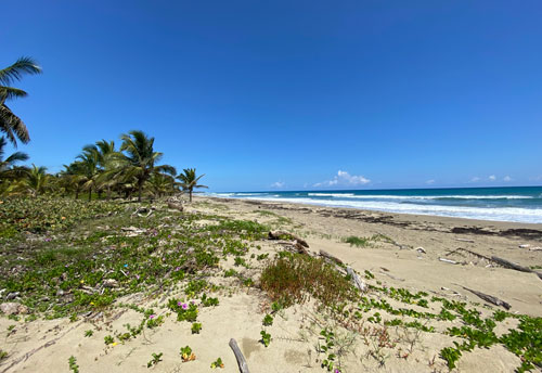 #2 Excellent beachfront lots in unspoilt location
